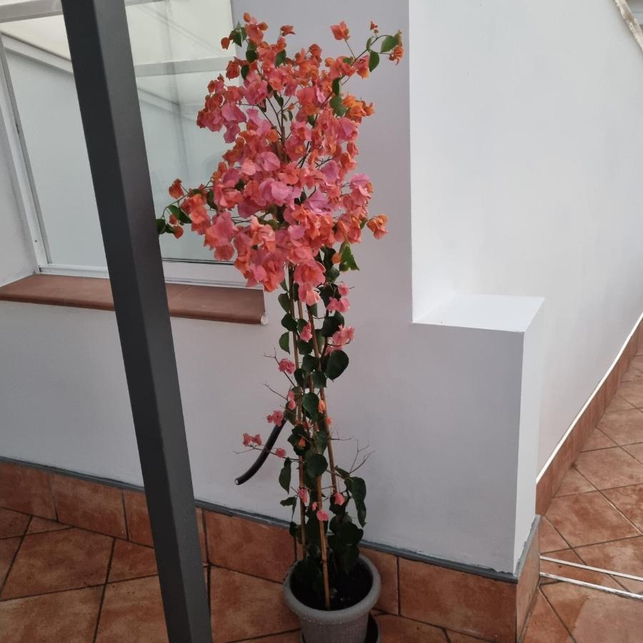 Santiago Del Teide Room ภายนอก รูปภาพ